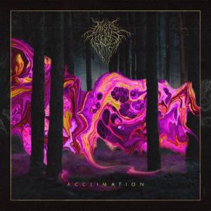 This Is the Last Time - Acclimation